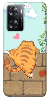 Чохол на Oppo A57s Cat the meow фото 1 з 1