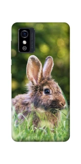 Чехол на ZTE Blade L9 Кролики фото 1 из 1