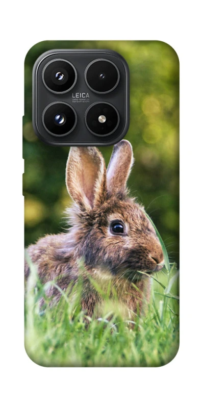 Чехол на Xiaomi 17 Кролики фото 1 из 1