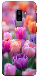 Чохол на Samsung Galaxy S9+ Тюльпанове поле фото 1 з 1