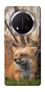 Чехол на Honor X9c Лиса фото 1 из 1