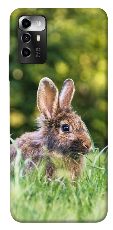 Чехол на ZTE Blade A72 Кролики фото 1 из 1