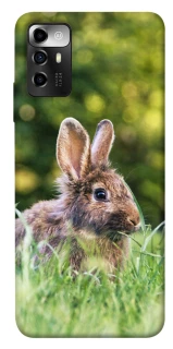 Чехол на ZTE Blade A72 Кролики фото 1 из 1