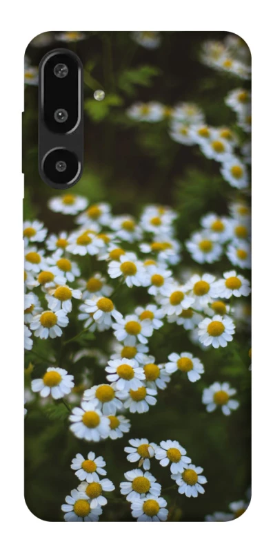 Чохол на Samsung Galaxy F16 Ромашки v13 фото 1 з 1