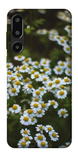 Чехол на Samsung Galaxy F16 Ромашки v13 фото 1 из 1