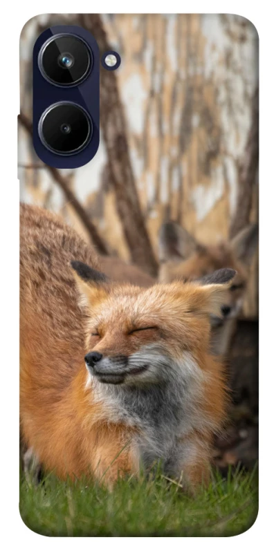 Чехол на Realme 10 4G Лиса фото 1 из 1