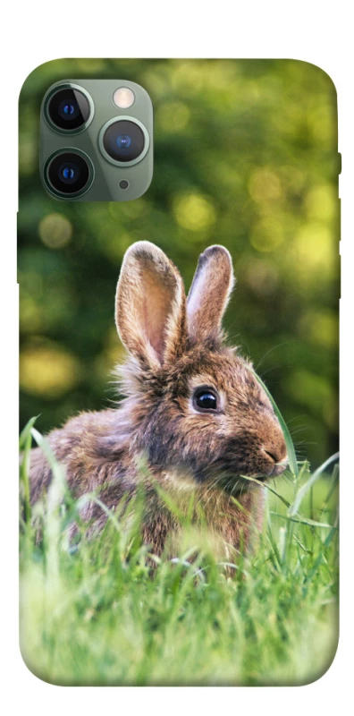 Чохол на Apple iPhone 11 Pro (5.8") Кролики фото 1 з 1