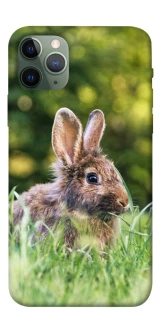 Чехол на Apple iPhone 11 Pro (5.8") Кролики фото 1 из 1