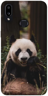 Чохол на Samsung Galaxy A10s Панда фото 1 з 1