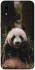 Чохол на Samsung Galaxy A10s Панда фото 1 з 1
