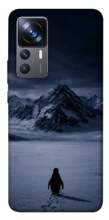 Чехол на Xiaomi 12T / 12T Pro But why? фото 1 из 1