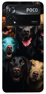 Чохол на Xiaomi Poco X4 Pro 5G Собаки фото 1 з 1
