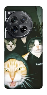 Чохол на OnePlus 12 Сatsss фото 1 з 1