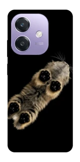 Чехол на Oppo A3X Cat фото 1 из 1