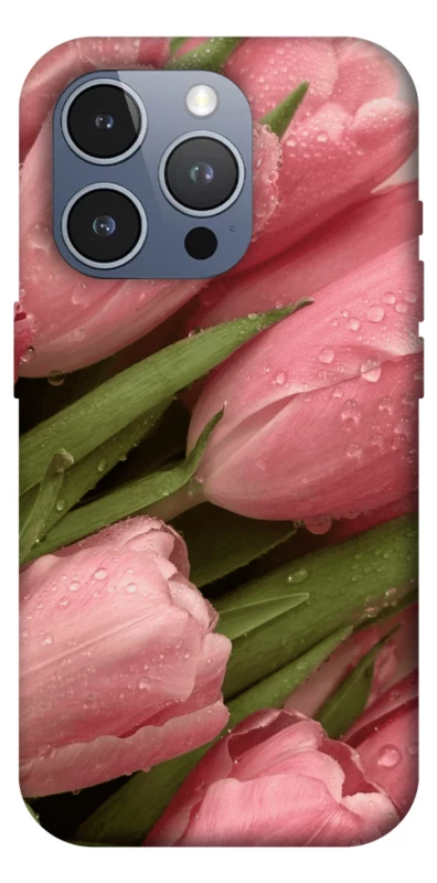 Чехол на Apple iPhone 16 Pro Max Beauty фото 1 из 1