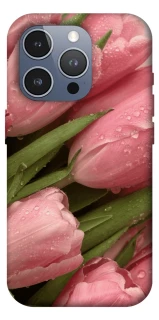 Чохол на Apple iPhone 16 Pro Max Beauty фото 1 з 1