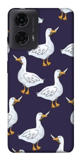 Чохол на Motorola Moto G04 Гуси з претензією фото 1 з 1