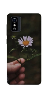 Чехол на ZTE Blade L9 Ромашка v4 фото 1 из 1