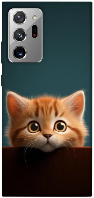 Чохол на Samsung Galaxy Note 20 Ultra Чохол Кошеня фото 1 з 1