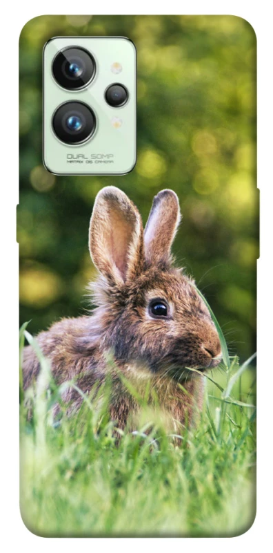 Чохол на Realme GT2 Кролики фото 1 з 1