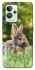 Чохол на Realme GT2 Кролики фото 1 з 1