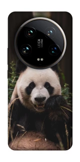 Чехол на Xiaomi 14 Ultra Панда фото 1 из 1