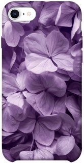 Чохол на Apple iPhone SE (2020) Floral Symphony фото 1 з 1