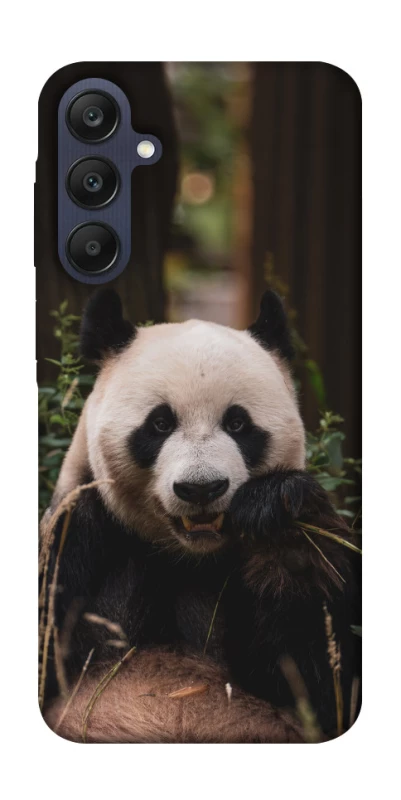 Чохол на Samsung Galaxy A25 5G Панда фото 1 з 1