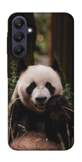 Чохол на Samsung Galaxy A25 5G Панда фото 1 з 1