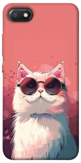 Чохол на Xiaomi Redmi 6A Сat with glasses фото 1 з 1