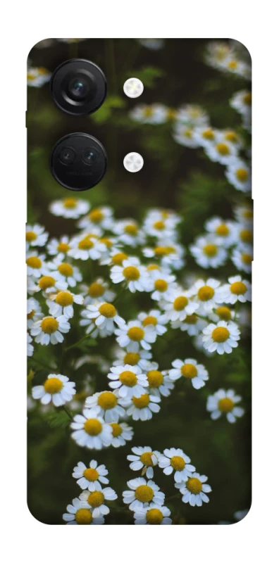 Чехол на OnePlus Nord 3 Ромашки v13 фото 1 из 1
