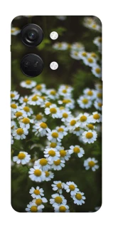 Чохол на OnePlus Nord 3 Ромашки v13 фото 1 з 1