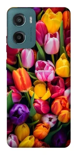 Чохол на Motorola Moto G06 Flowers v30 фото 1 з 1