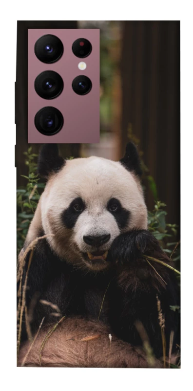 Чехол на Samsung Galaxy S22 Ultra Панда фото 1 из 1