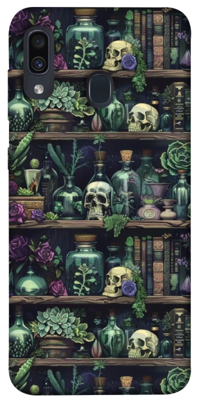 Чохол на Samsung Galaxy A20 / A30 Bookshelf ver.1 фото 1 з 1