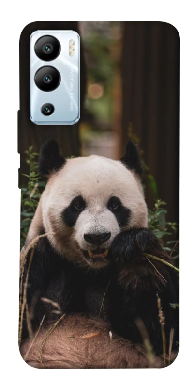 Чохол на Infinix Hot 12i Панда фото 1 з 1
