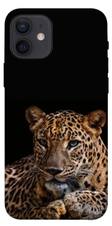 Чехол на Apple iPhone 12 (6.1") Leopard v4 фото 1 из 1