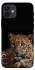 Чохол на Apple iPhone 12 (6.1") Leopard v4 фото 1 з 1