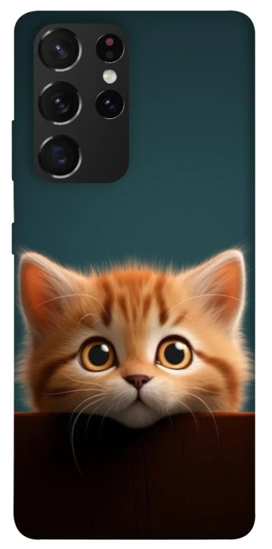 Чохол на Samsung Galaxy S21 Ultra Чохол Кошеня фото 1 з 1