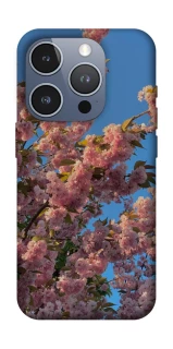 Чохол на Apple iPhone 16 Pro Flowers v4 фото 1 з 1