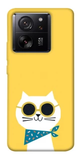 Чехол на Xiaomi 13T Кот-муркот фото 1 из 1