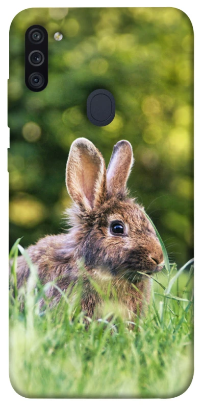 Чехол на Samsung Galaxy M11 Кролики фото 1 из 1