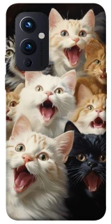 Чехол на OnePlus 9 Коты фото 1 из 1