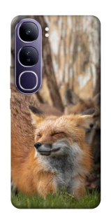 Чехол на Vivo Y300 Лиса фото 1 из 1