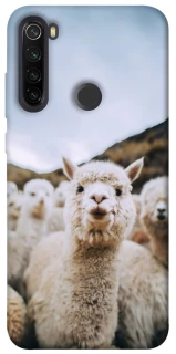Чохол на Xiaomi Redmi Note 8T Лама фото 1 з 1
