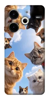 Чехол на TECNO Pova 6 Neo (LI6) Cats фото 1 из 1