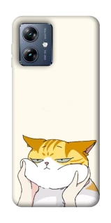 Чехол на Motorola Moto G54 Power Cat bun фото 1 из 1