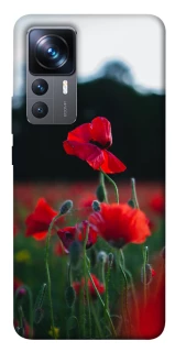 Чехол на Xiaomi 12T / 12T Pro Мак фото 1 из 1