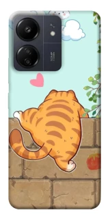 Чохол на Xiaomi Redmi 13C Cat the meow фото 1 з 1
