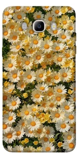 Чохол на Samsung J510F Galaxy J5 (2016) Camomile фото 1 з 1